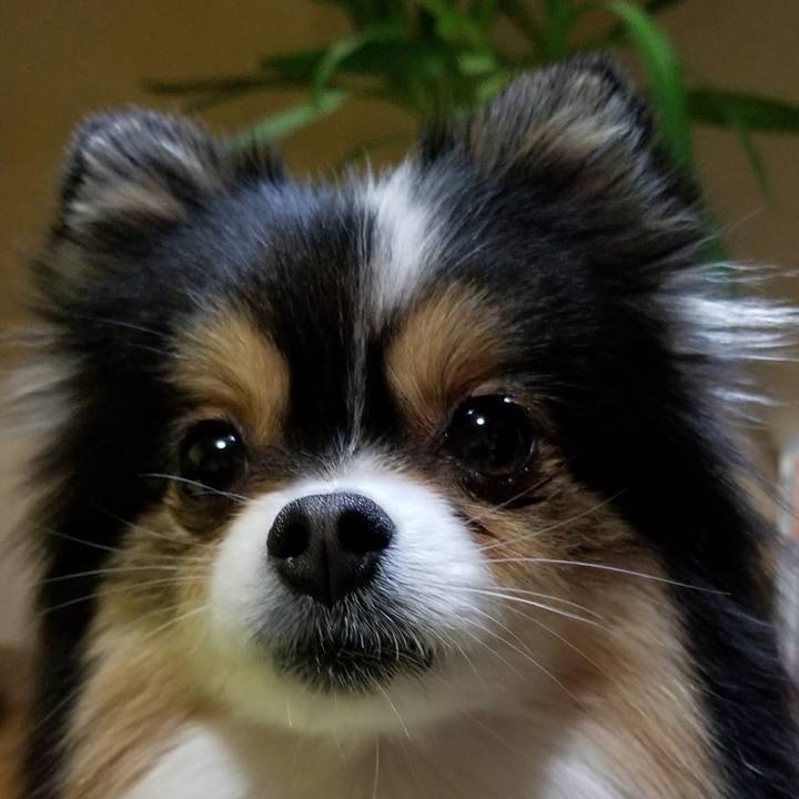 B7df698b c172 4576 956c 6c1af934f111 1522241776388