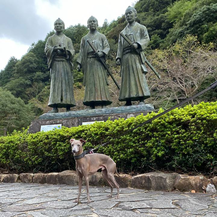 B7df6c39 826e 4e02 95a2 ad53b91d57e7 1759124592900