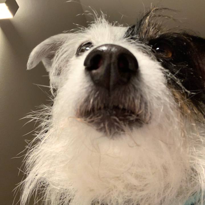 B7df9a44 a6e2 4594 92f8 ecb501a0027b 1646823812050