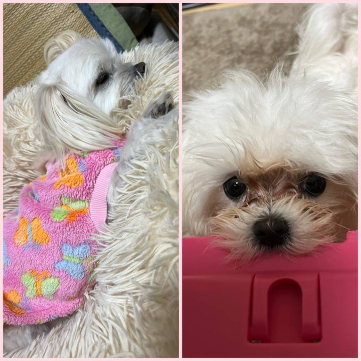 B7dfac40 cc51 489e 9b69 67895017784a 1710763493885