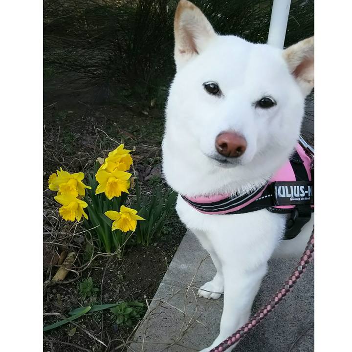 B7dfd83e 2fad 435a b0f8 544e5e934d60 1521881809678