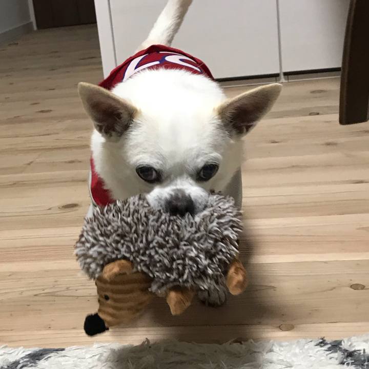 B7dffdca 9fb6 4555 a5be 6c8979c719d9 1595414819671