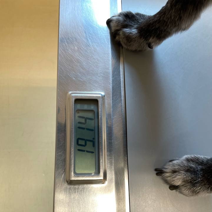 B7e00b18 c76d 4b7d 90c3 e8ff56350bfc 1754982152303