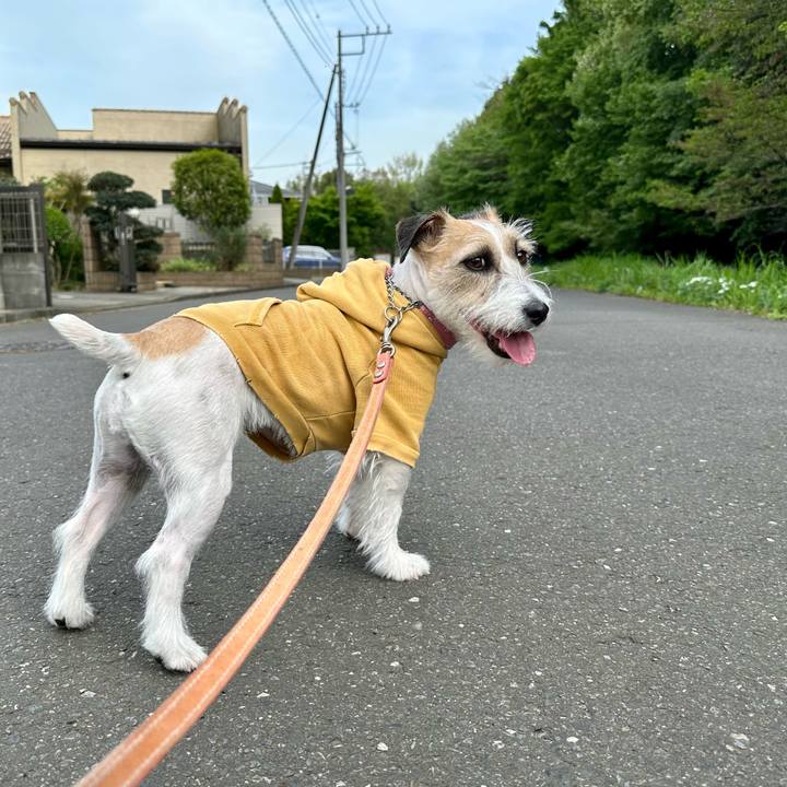 B7e02241 6414 4ddd 97d7 d40745fbed92 1713621088845