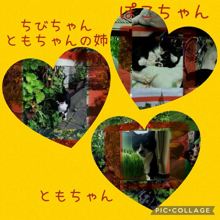 B7e05616 0f33 418e ad3e 5d8f2485a697 1781494295953