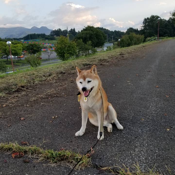 B7e05f09 5581 4179 a79c 351b248f1f30 1662798596342