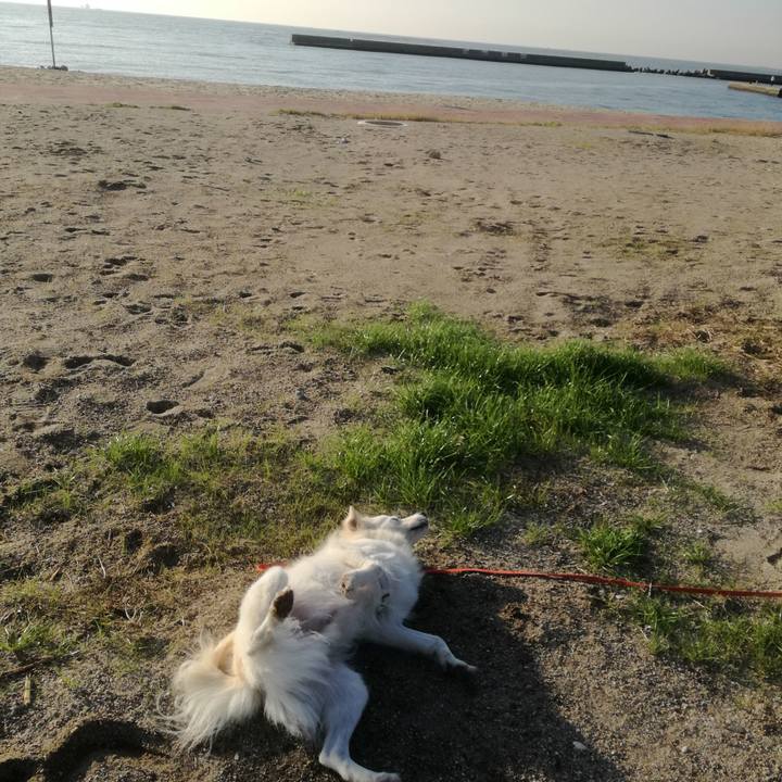 B7e066be d684 402d ada6 5b2eb3b18403 1509064362194