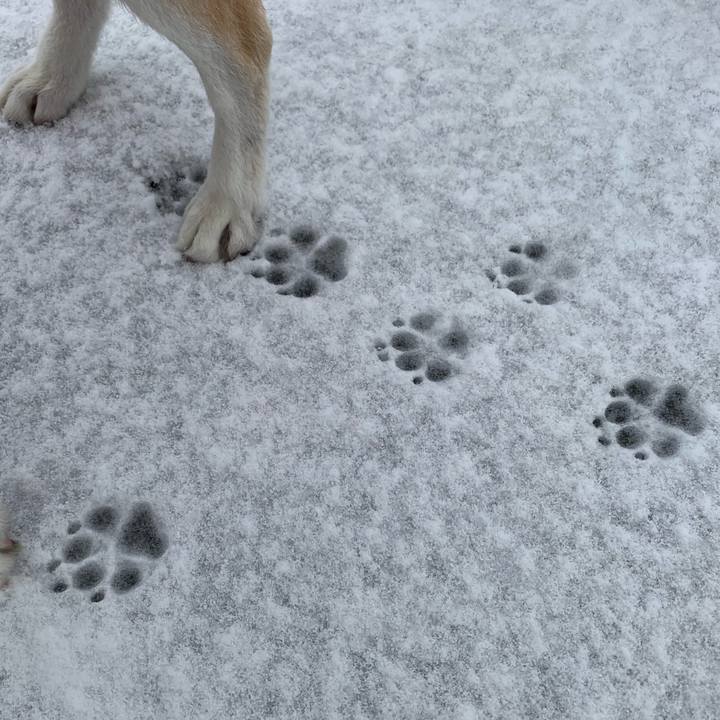 B7e0693b d225 4451 8c18 26b247c54858 1642208497628