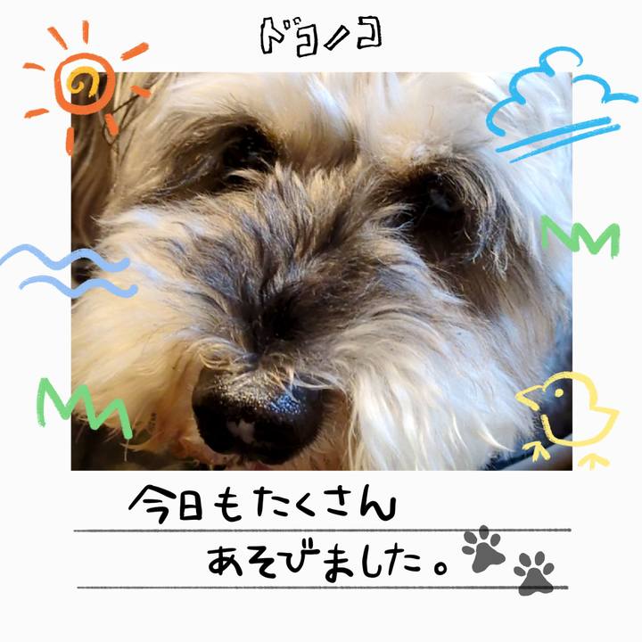 B7e08b9f e59b 44e7 9223 468851b6dab5 1755308436280