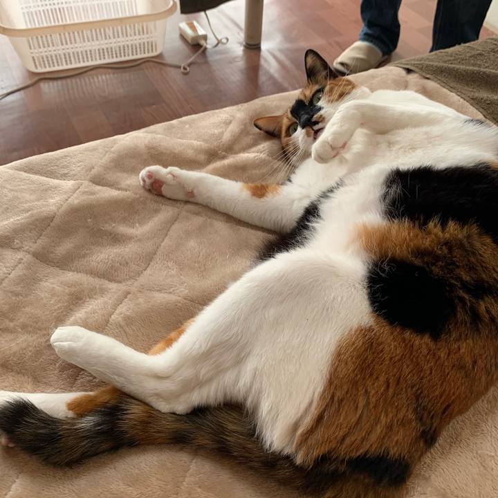 B7e0901e d979 458f 8e86 b9fd5c0eac25 1610804240520