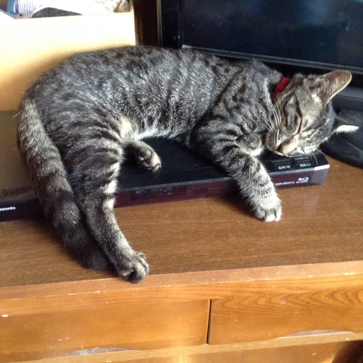 B7e0d965 c5a9 4d09 a25d 32e87d48f21b 1533191116834