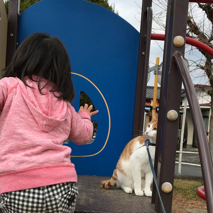 B7e0f747 a16f 44df ae47 edf4ae6e78b7 1511931429685