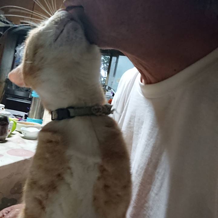 B7e16c92 49ea 41d5 8eaa f01211ab3c65 1592126250956