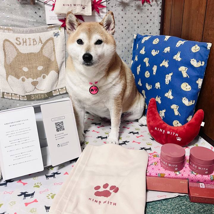 B7e1704e fed8 4ee1 bc2a f6905ac110b9 1700193492946