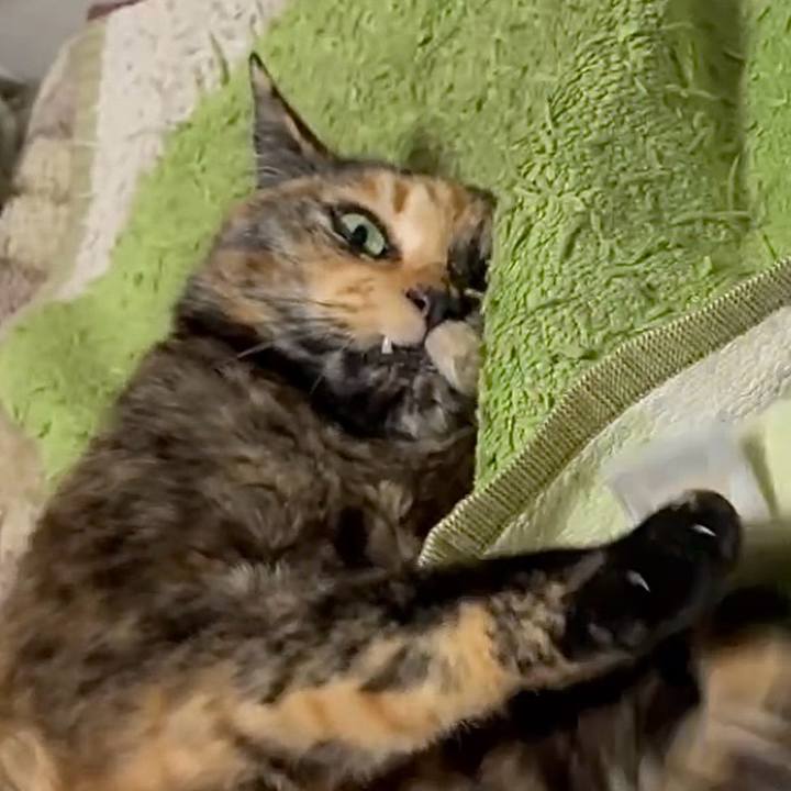 B7e19dda 65a4 4b56 9f50 5e20f2cb5ac7 1774384953553