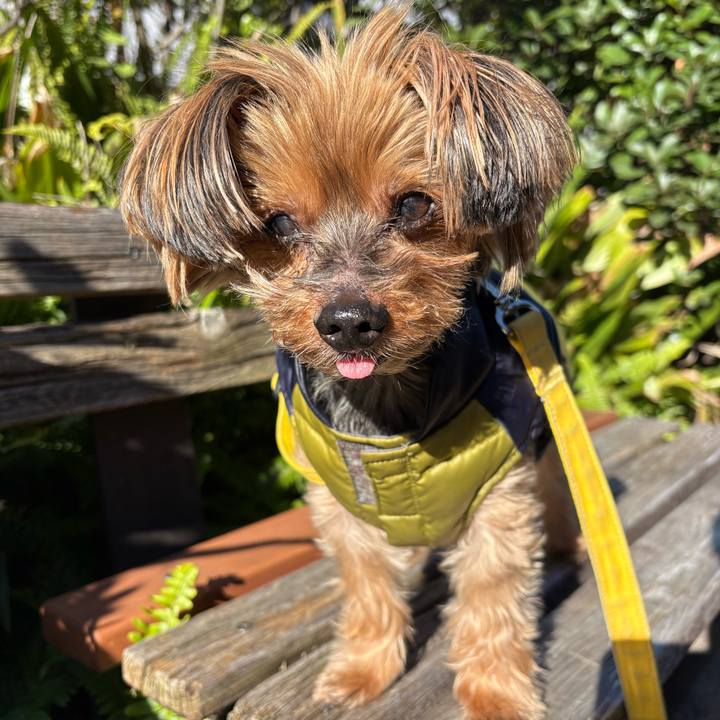 B7e1a5da c442 4371 8de2 df48aaeef351 1733195995342