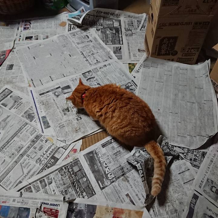 B7e1b216 c1c6 4e55 b837 ad7914cf714a 1578899661026