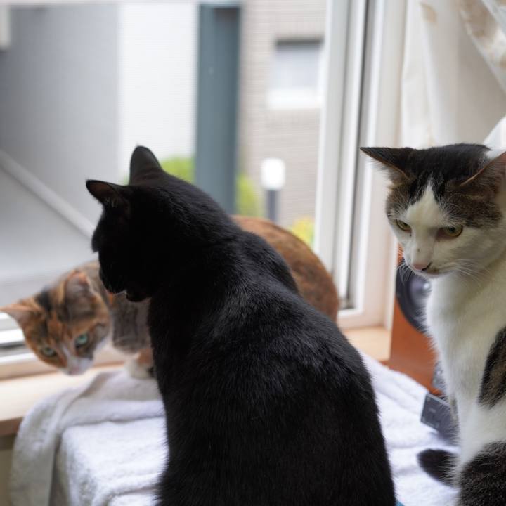 B7e1b701 15b1 463f bea0 305ede84496a 1625017540158