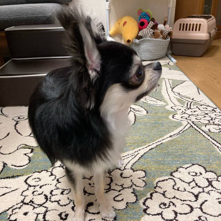 B7e1ea72 d6aa 409a 928d 7e909143c4f0 1622989526780