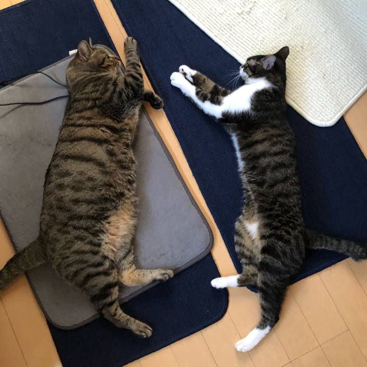 B7e1f583 7406 4896 9e8c a9248e522f01 1628280480619