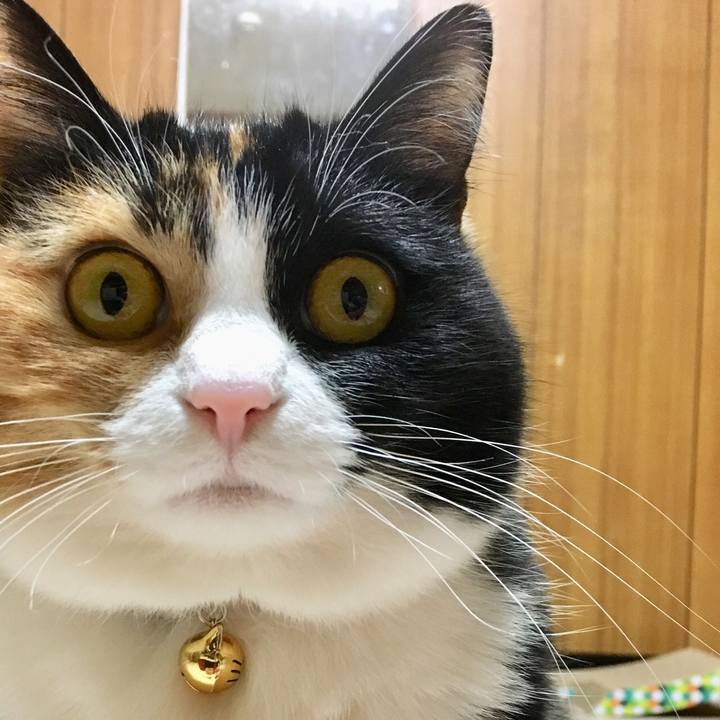 B7e21a3f a509 4288 8ff6 18ada9b7c410 1519303774772