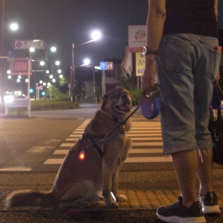 B7e22bc0 86a5 499b 8b88 b86b9dffcc47 1612485134202