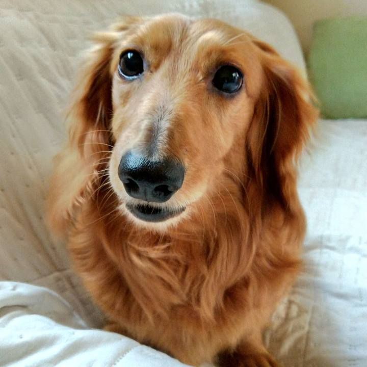 B7e2547c 5eb5 4002 afc7 30b8bdb17c83 1627801120548