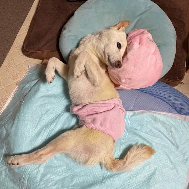 B7e264b9 58b0 4d23 a19c ae25b32b334d 1669380798673