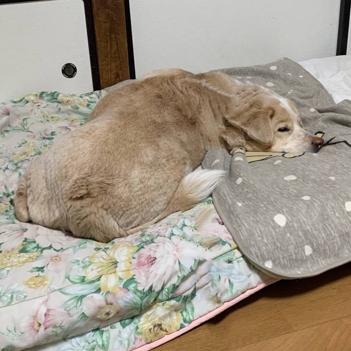 B7e266f8 e222 4925 bdb7 83b777ad23e5 1582640075883