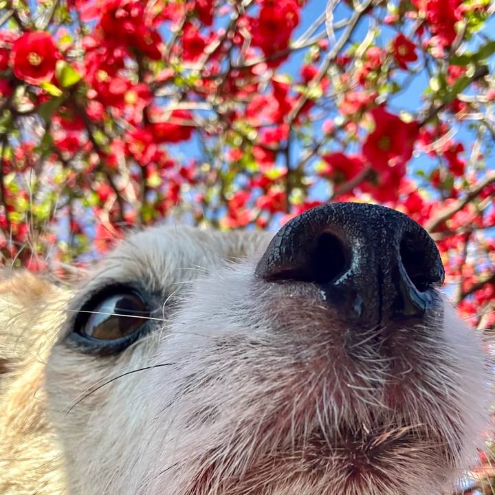 B7e304b2 b98c 4161 8fd4 c5d623d60e63 1742211102075