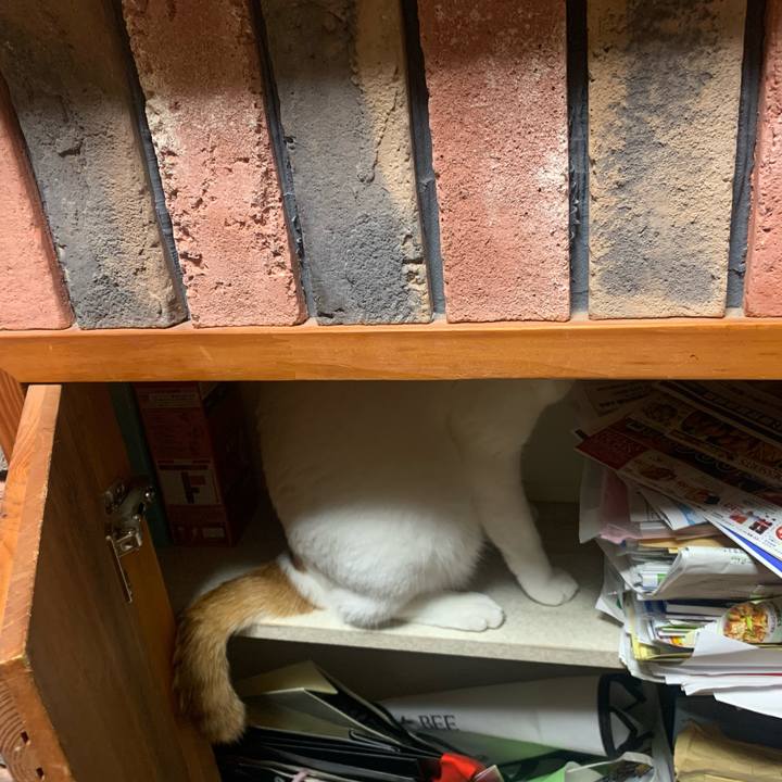 B7e34749 a217 4b81 a06c cbef155f043c 1593209586224