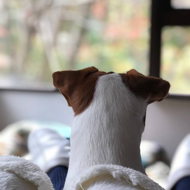 B7e38927 5231 4fe2 848f baf80b54b85b 1542454878762