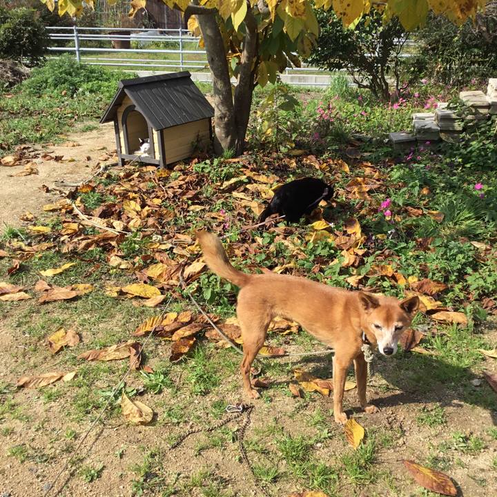 B7e3a34a f844 4b85 b8b9 b1ad025ba7c6 1510195436647