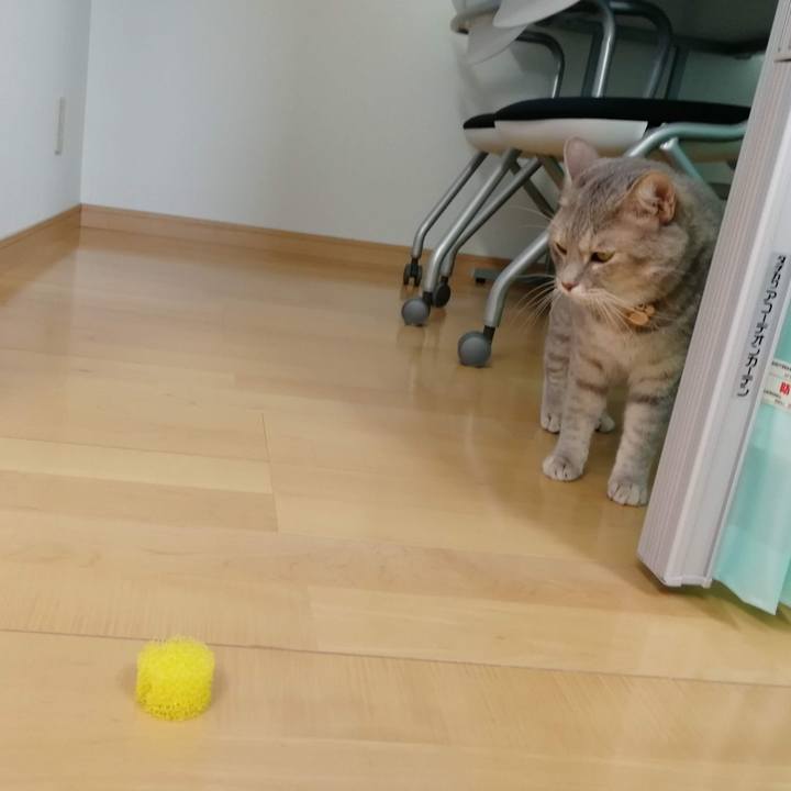 B7e3a3eb d01c 4dea 9091 7ed49938c9e4 1567758275634