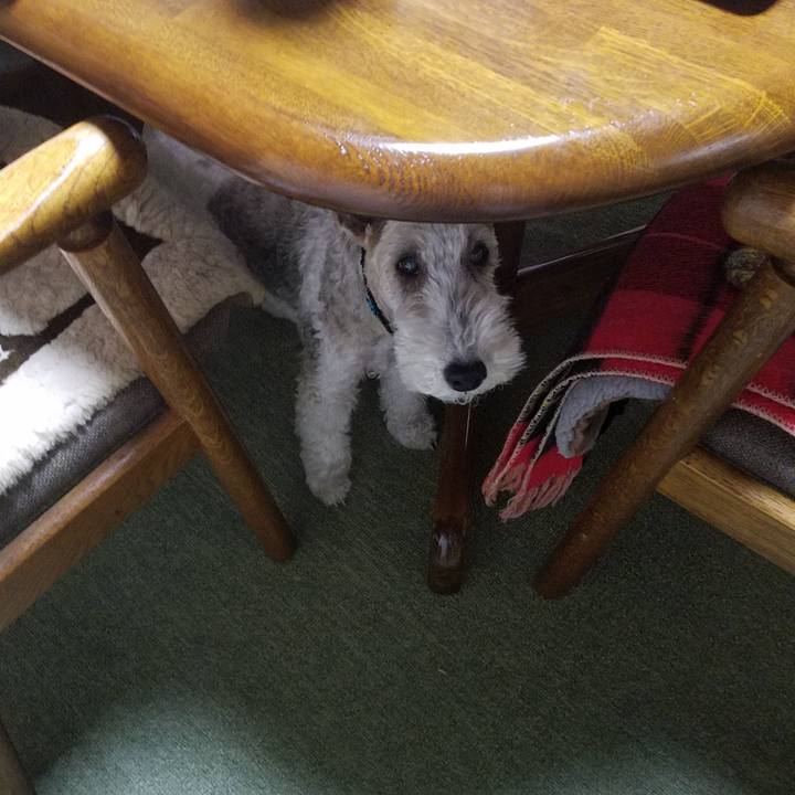 B7e3c72b 0944 416b b48f 366cf7f681d1 1547902034914