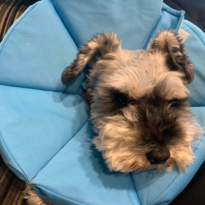 B7e3c93b 88dc 41bc 9059 642b5dbe0ab5 1657760230620