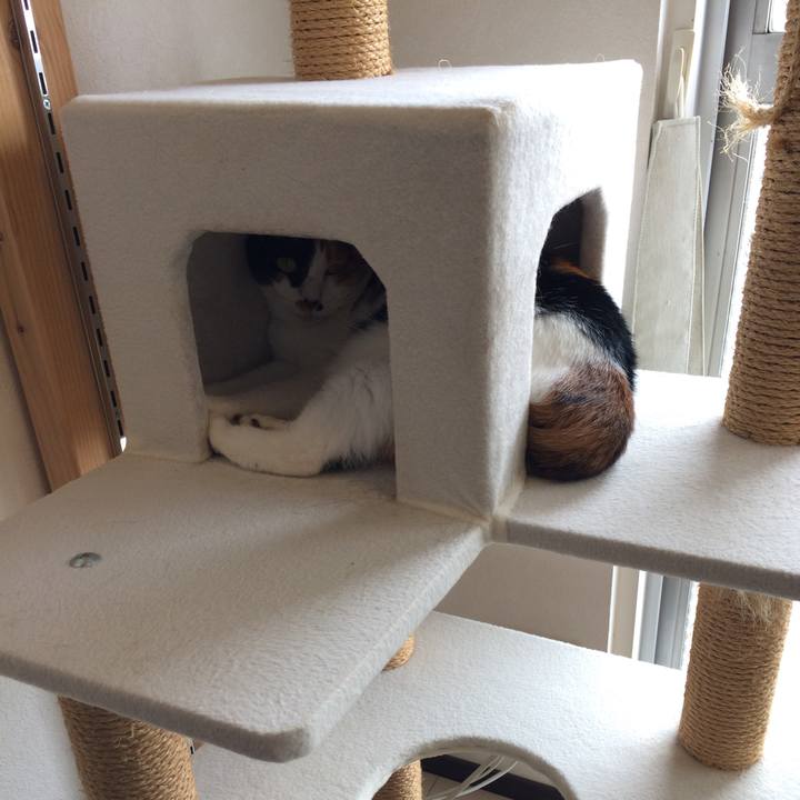 B7e3e5e8 8cd7 4672 83f8 9641bd32fc0d 1596862200561