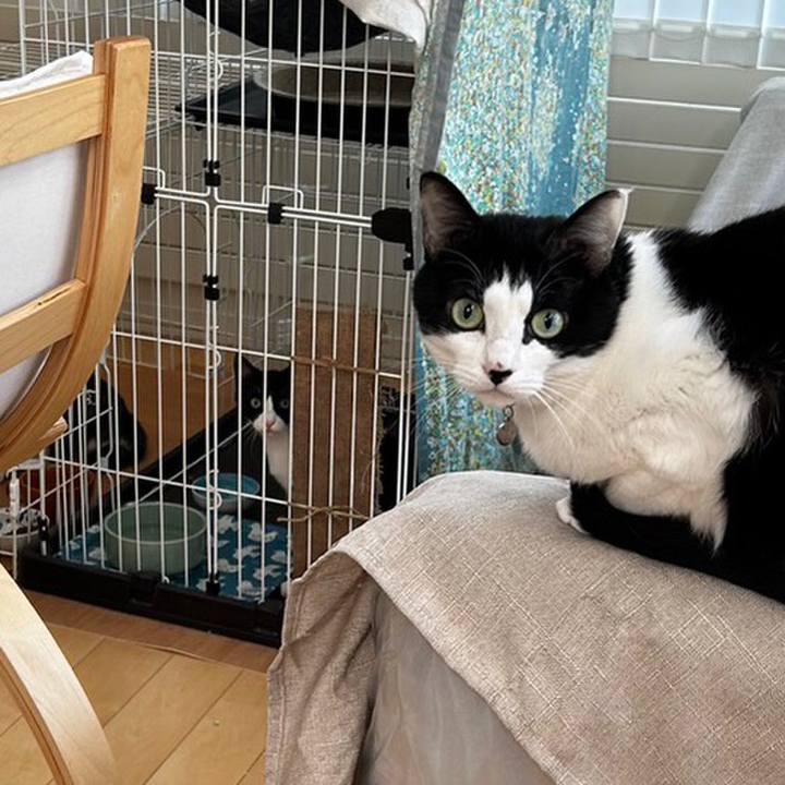 B7e4673f 8c50 43c4 b58b 4737f74b4d34 1683152485197