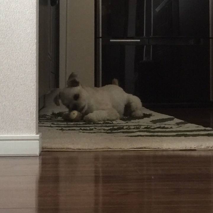 B7e48d03 0a23 472c 8ea9 c4700997a132 1534936182796