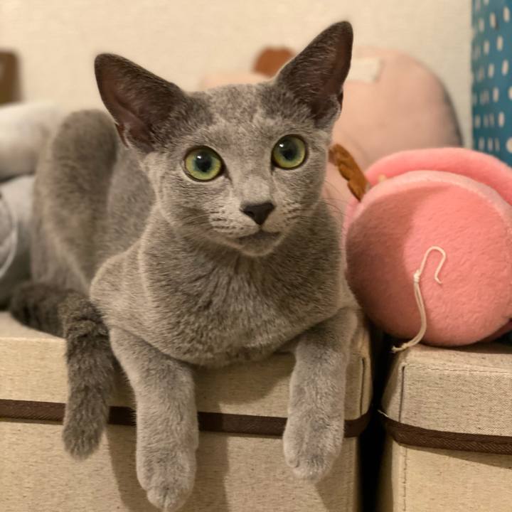 B7e4b4c6 6117 4aea 91d6 084ae7bc85d4 1601644053728