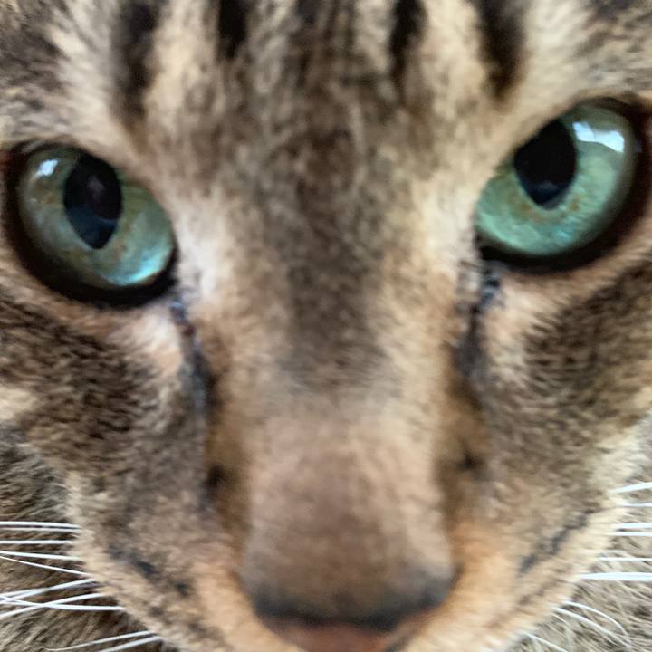 B7e4c204 3a90 44a0 9d71 9db2da8ca8cf 1559955266636