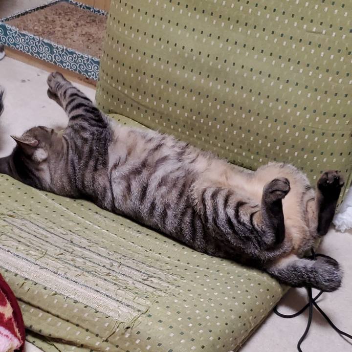 B7e4cf38 58f3 4e53 8993 35d3a0047e1c 1697096108245