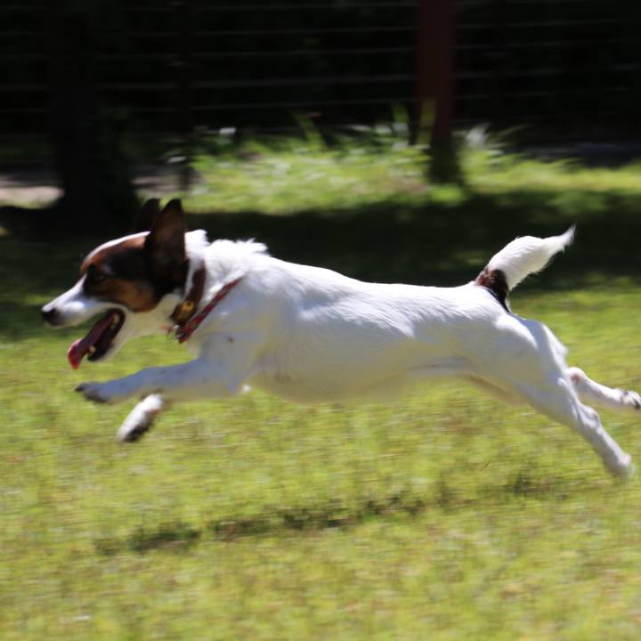 B7e4e193 4bd2 4b21 8635 daac88cd3691 1526815113646