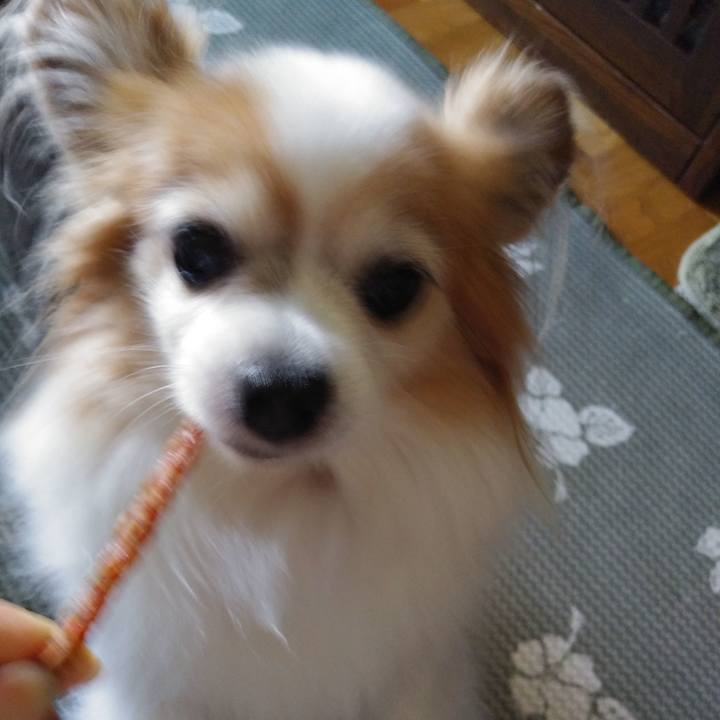 B7e4ed0d e9be 4545 8ebd 0591ddba708d 1533914662968