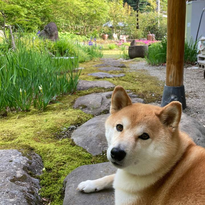 B7e54026 185d 450e bd5b 47e2dd316509 1684570625958