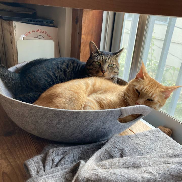 B7e593a1 b54e 4456 84ad 77b21d736929 1699147768283