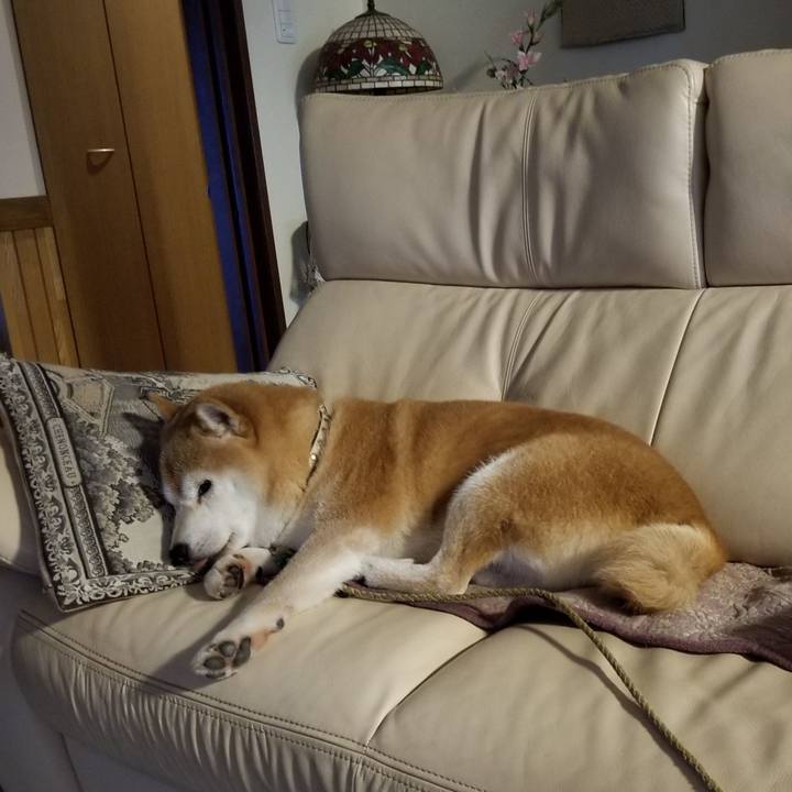 B7e59487 57bc 4bf3 8f3f 909eed4088de 1631482616792