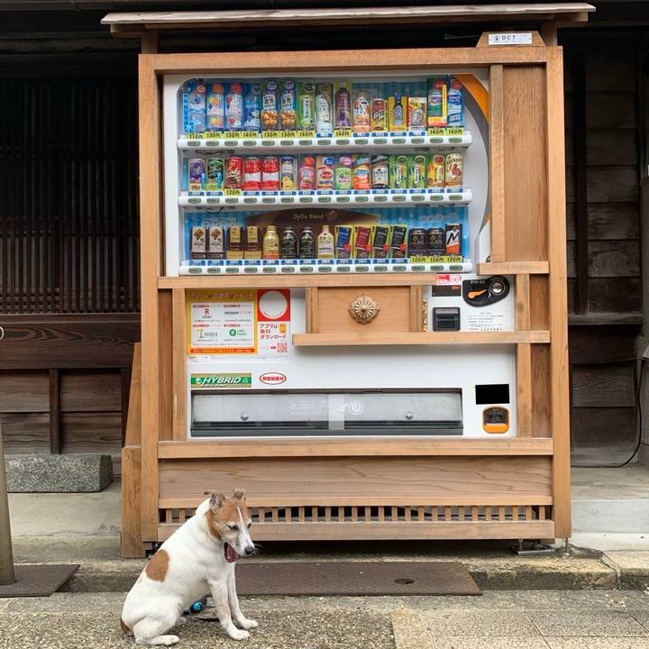 B7e5a836 1208 4b62 bfcb d73634692b06 1595558976946