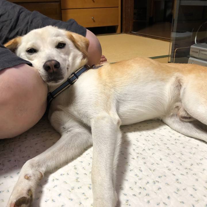 B7e5b73a a2d6 4b89 84be 539cf3740e1c 1628639036427