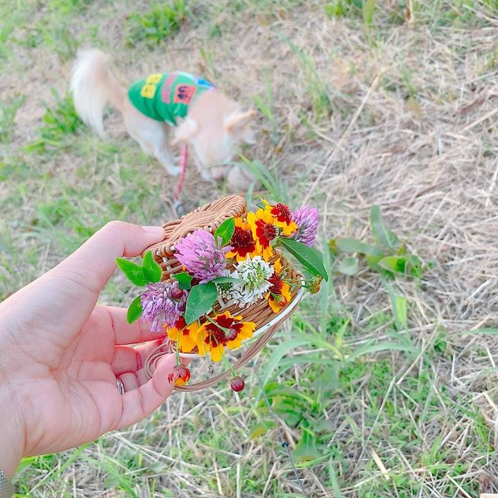 B7e5d01e ca7e 43ca b10b 1d2d626347c6 1623327988189